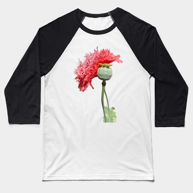 Pink Peony Poppy Flower Baseball T-Shirt by badlydrawnbabe